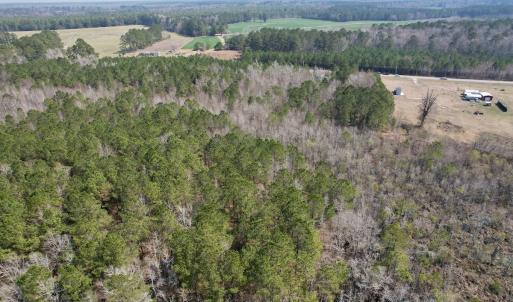 Photo #10 of Off Seven Creeks Hwy, Nakina, NC 9.9 acres