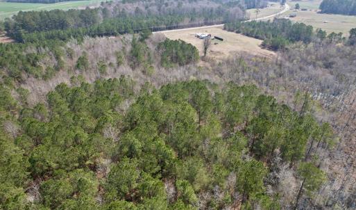 Photo #11 of Off Seven Creeks Hwy, Nakina, NC 9.9 acres