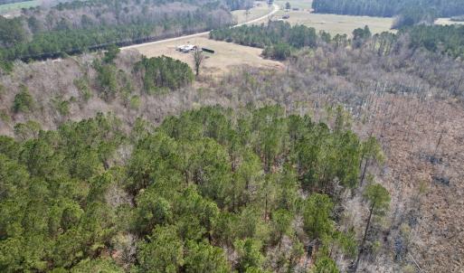 Photo #12 of Off Seven Creeks Hwy, Nakina, NC 9.9 acres