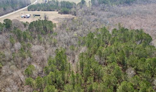 Photo #15 of Off Seven Creeks Hwy, Nakina, NC 9.9 acres