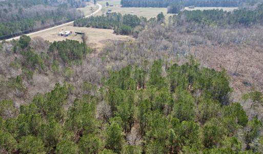 Photo #16 of Off Seven Creeks Hwy, Nakina, NC 9.9 acres
