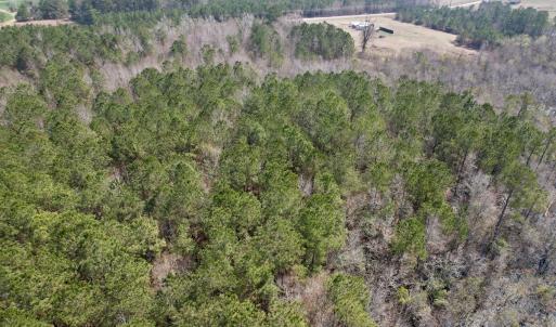 Photo #20 of Off Seven Creeks Hwy, Nakina, NC 9.9 acres