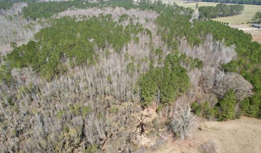 Photo #5 of Off Seven Creeks Hwy, Nakina, NC 9.9 acres