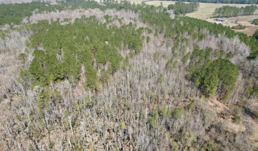 Photo #6 of Off Seven Creeks Hwy, Nakina, NC 9.9 acres