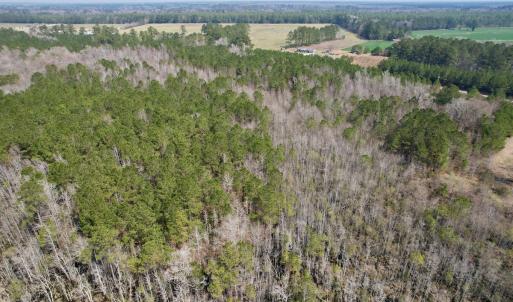 Photo #7 of Off Seven Creeks Hwy, Nakina, NC 9.9 acres