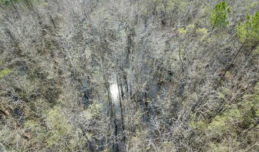 Photo #23 of Off Seven Creeks Hwy, Nakina, NC 9.9 acres