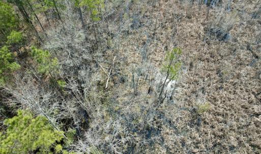 Photo #24 of Off Seven Creeks Hwy, Nakina, NC 9.9 acres