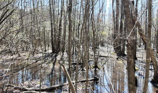 Photo #25 of Off Seven Creeks Hwy, Nakina, NC 9.9 acres