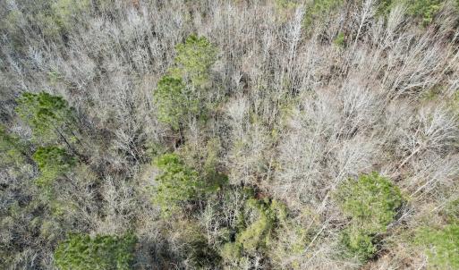 Photo #27 of Off Seven Creeks Hwy, Nakina, NC 9.9 acres