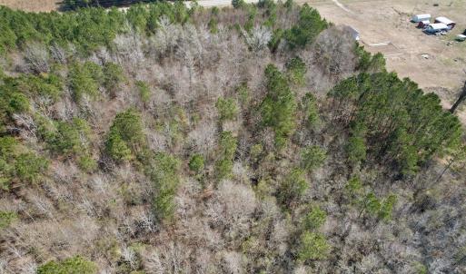 Photo #28 of Off Seven Creeks Hwy, Nakina, NC 9.9 acres