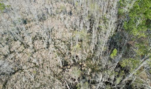 Photo #30 of Off Seven Creeks Hwy, Nakina, NC 9.9 acres
