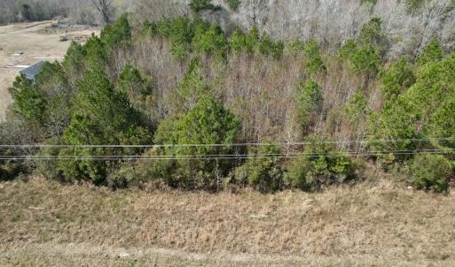 Photo #34 of Off Seven Creeks Hwy, Nakina, NC 9.9 acres