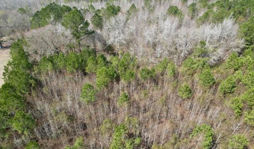 Photo #41 of Off Seven Creeks Hwy, Nakina, NC 9.9 acres