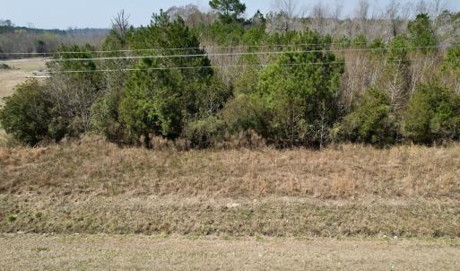 Photo #42 of Off Seven Creeks Hwy, Nakina, NC 9.9 acres