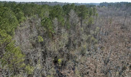 Photo #43 of Off Seven Creeks Hwy, Nakina, NC 9.9 acres