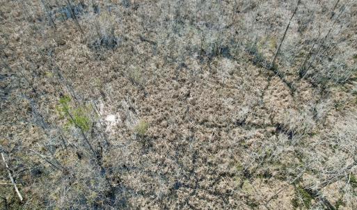 Photo #49 of Off Seven Creeks Hwy, Nakina, NC 9.9 acres
