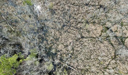 Photo #50 of Off Seven Creeks Hwy, Nakina, NC 9.9 acres