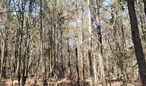 Photo #51 of Off Seven Creeks Hwy, Nakina, NC 9.9 acres