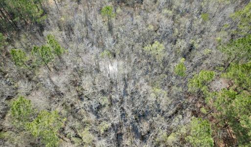 Photo #53 of Off Seven Creeks Hwy, Nakina, NC 9.9 acres