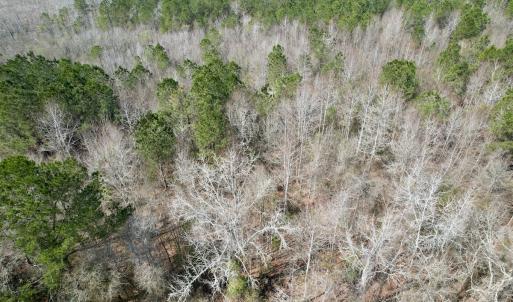 Photo #55 of Off Seven Creeks Hwy, Nakina, NC 9.9 acres