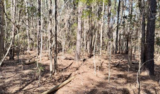 Photo #57 of Off Seven Creeks Hwy, Nakina, NC 9.9 acres
