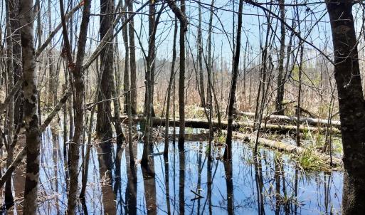 Photo #61 of Off Seven Creeks Hwy, Nakina, NC 9.9 acres
