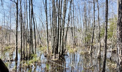 Photo #62 of Off Seven Creeks Hwy, Nakina, NC 9.9 acres