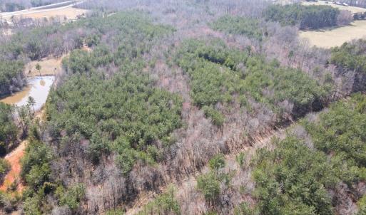 Photo #2 of Off Christopher Lane, Keysville, VA 59.0 acres