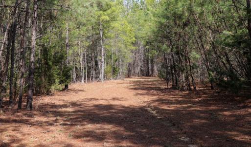 Photo #9 of Off Christopher Lane, Keysville, VA 59.0 acres