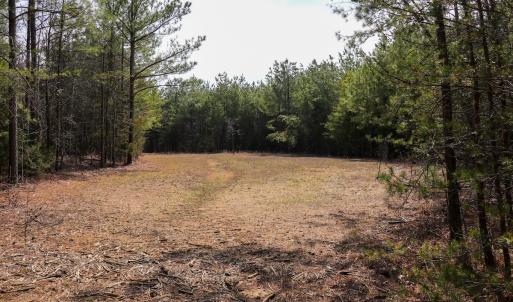 Photo #10 of Off Christopher Lane, Keysville, VA 59.0 acres