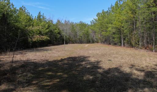 Photo #11 of Off Christopher Lane, Keysville, VA 59.0 acres