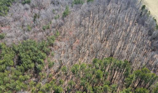 Photo #12 of Off Christopher Lane, Keysville, VA 59.0 acres