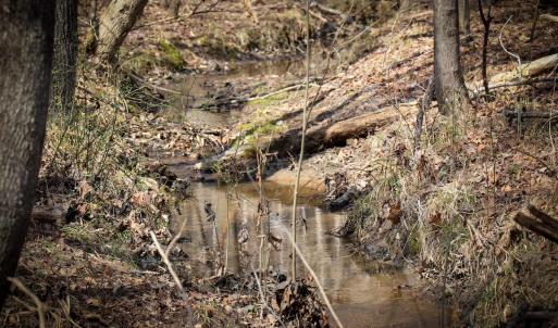 Photo #15 of Off Christopher Lane, Keysville, VA 59.0 acres