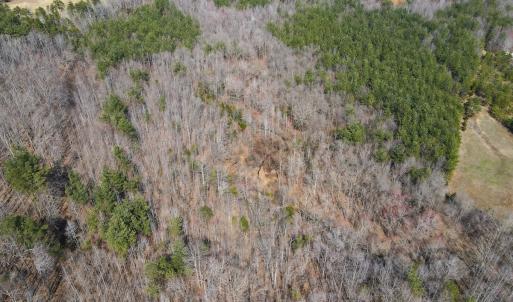 Photo #19 of Off Christopher Lane, Keysville, VA 59.0 acres