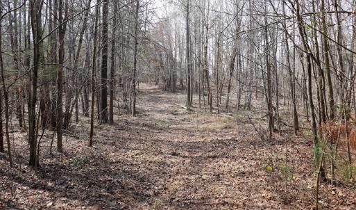 Photo #20 of Off Christopher Lane, Keysville, VA 59.0 acres