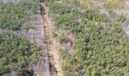 Photo #3 of Off Christopher Lane, Keysville, VA 59.0 acres