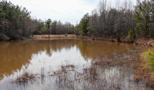 Photo #4 of Off Christopher Lane, Keysville, VA 59.0 acres