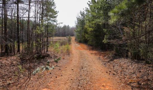 Photo #5 of Off Christopher Lane, Keysville, VA 59.0 acres