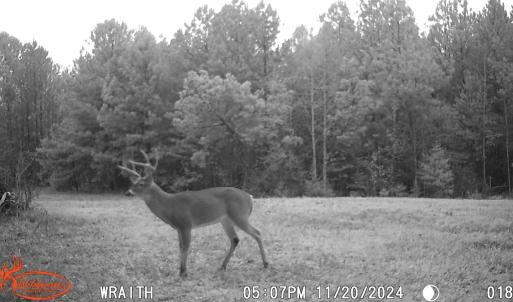 Photo #7 of Off Christopher Lane, Keysville, VA 59.0 acres
