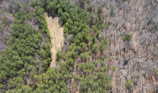 Photo #8 of Off Christopher Lane, Keysville, VA 59.0 acres