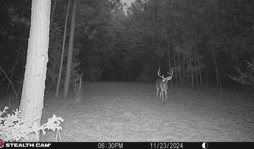 Photo #23 of Off Christopher Lane, Keysville, VA 59.0 acres