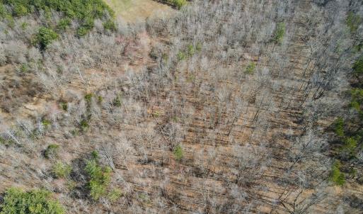 Photo #25 of Off Christopher Lane, Keysville, VA 59.0 acres