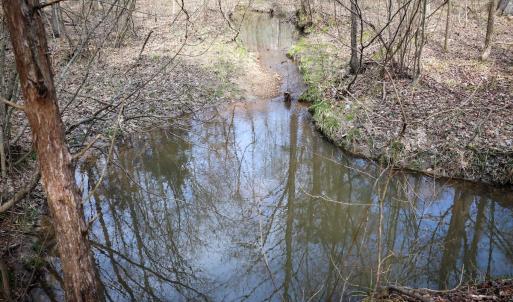 Photo #30 of Off Christopher Lane, Keysville, VA 59.0 acres