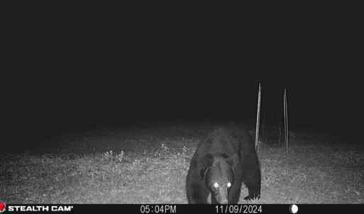 Photo #31 of Off Christopher Lane, Keysville, VA 59.0 acres