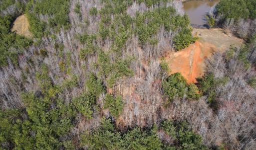 Photo #32 of Off Christopher Lane, Keysville, VA 59.0 acres
