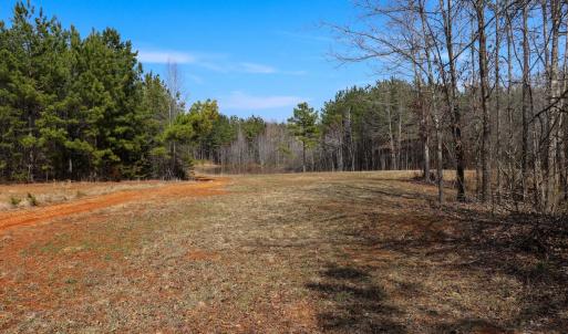 Photo #35 of Off Christopher Lane, Keysville, VA 59.0 acres