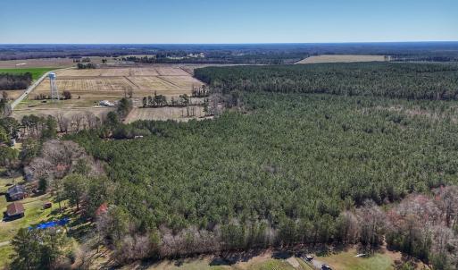 Photo #9 of Off Highway 41, Trenton, NC 50.7 acres