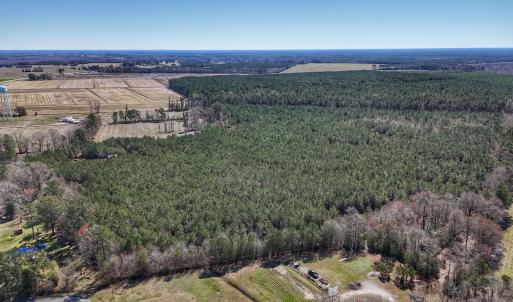 Photo #10 of Off Highway 41, Trenton, NC 50.7 acres
