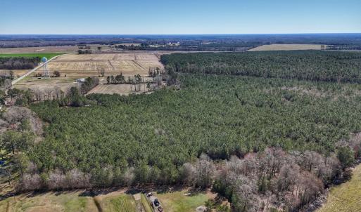 Photo #11 of Off Highway 41, Trenton, NC 50.7 acres