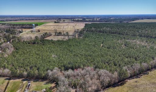 Photo #12 of Off Highway 41, Trenton, NC 50.7 acres